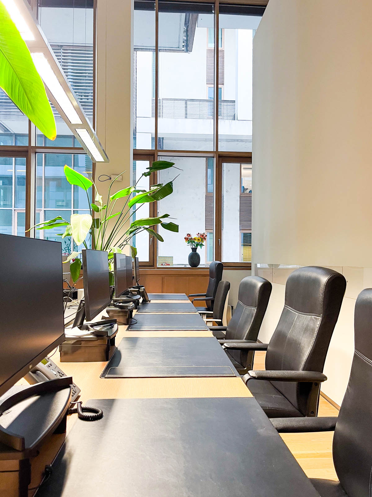 hexavalue ceo on demand software adeguati assetti analisi concorrenza ai ca group